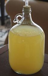 Sirop de papadie