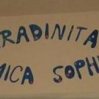 Gradinita Mica Sophia