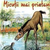 Micutii mei prieteni